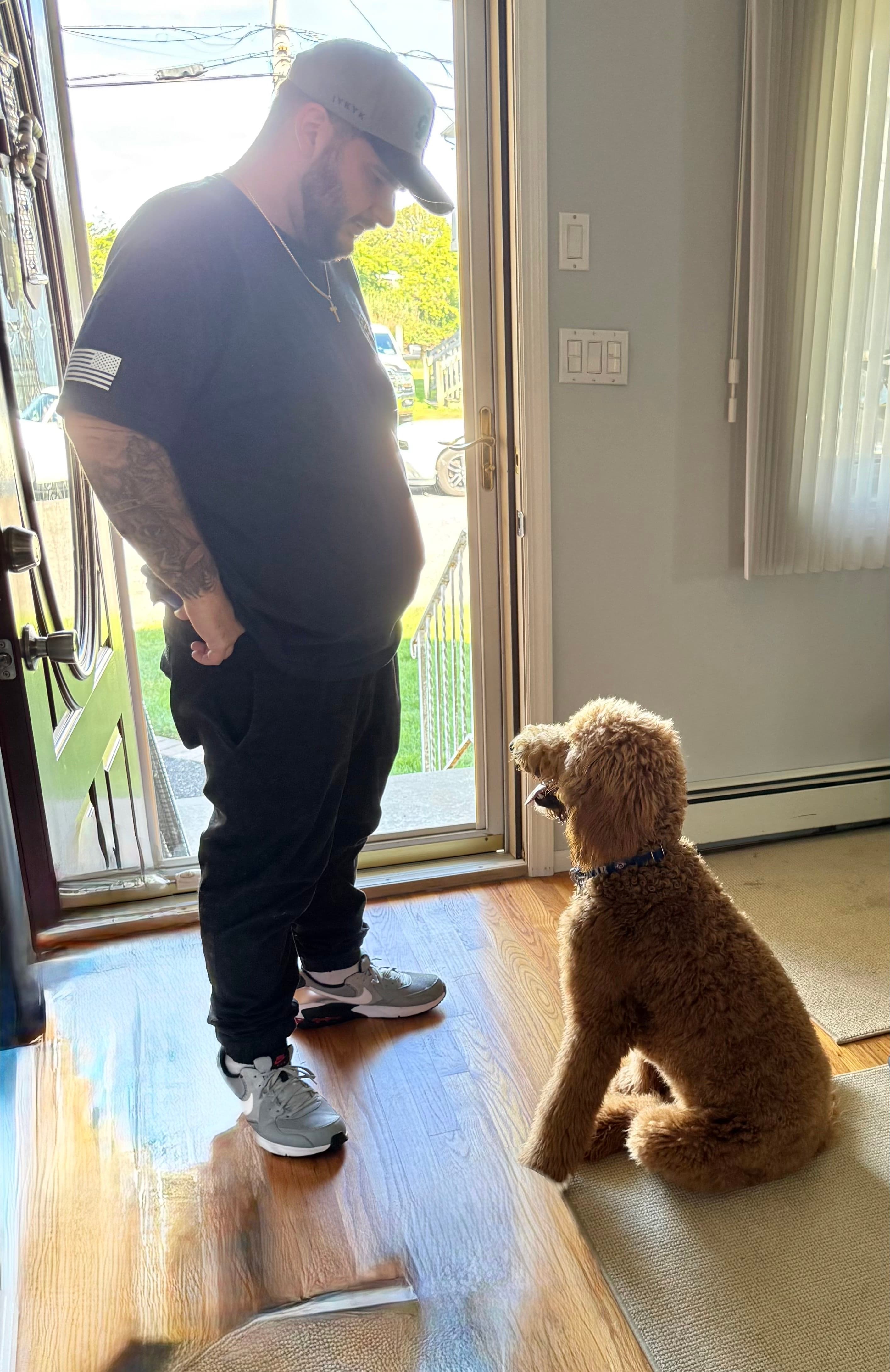 Goldendoodle practicing a stay at the front door